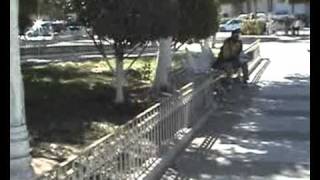 Parkour Team Street Revolution