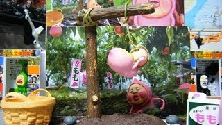 こびとづかん「カクレモモジリ捕獲セット」レビュー！