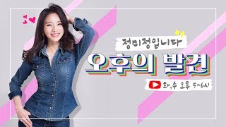 [폴린딜드] 오후의 발견 YouTube LIVE 20200219(수)