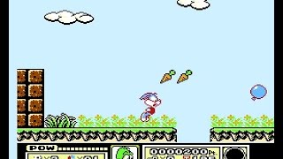 Tiny Toon Adventures / Nes / Pegasus