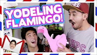 Yodeling Flamingo!? (Teehee Time)