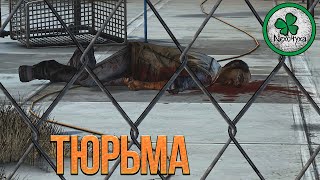 Прохождение The Walking Dead - Season 2 | Новые лица #4