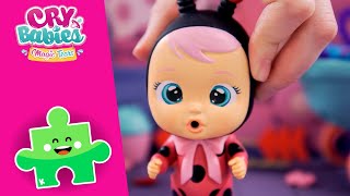 ლედის ვალენტინობის დღე ? CRY BABIES ? MAGIC TEARS ? TOY PLAY