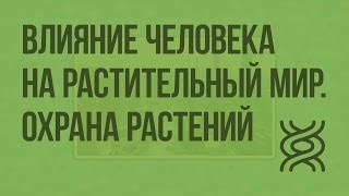 Влияние человека на растительный мир, охрана растений. Видеоурок по биологии 6 класс