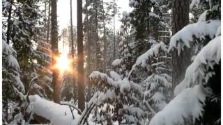 Беловежская пуща, переложение для гитары
