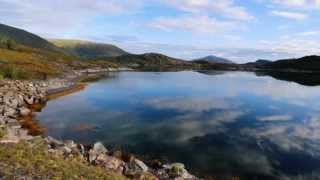 Kelionė ir žvejyba Arnoy Brygge,Norvegija.2014/08 Fishing in Norway