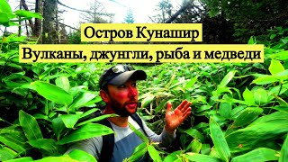 Остров Кунашир. Вулканы, джунгли, рыба и медведи
