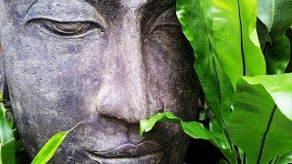 Индия и Непал | Instrumental Folk Music