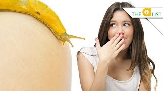 6 Animals With the Biggest Penises