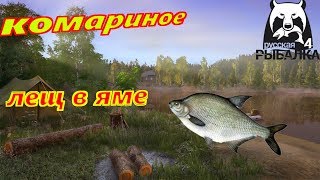Русская рыбалка 4/Лещ на Комарином/