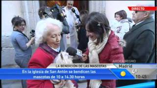 San Antón bendice a los animales