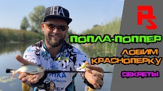 ПОПЛА-ПОППЕР. Как ловить красноперку на спиннинг. Советы начинающим.