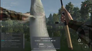 Fishing Planet * Аллигаторова Щука на воблер.