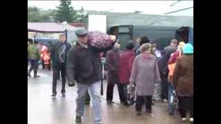 В ЖЕЛЕЗНОГОРСКЕ ПРОШЛА СЕЛЬХОЗ ЯРМАРКА