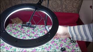 Кольцевая лампа+штатив с AliExpress. Своих денег она точно стоит!