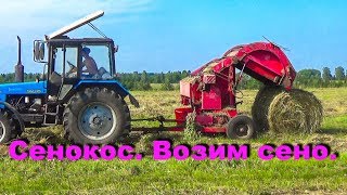 Сенокос. Жара. Возим сено.