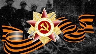 В Донецке поставлен рекорд Украины на День Победы