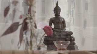 suZen shiatsu therapie - 't Gooi