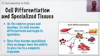 [IB Biology Topic 1 Revision] Introduction to Cells