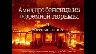 АМИД про мат и подземную тюрьму!