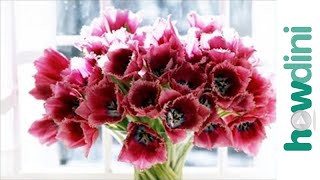 How to make cut flowers last longer