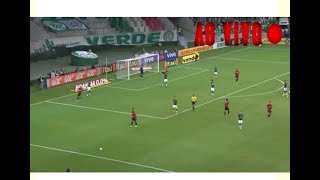 ? Assistir Palmeiras x Sport Ao Vivo HD - Brasileirão 16/11/17