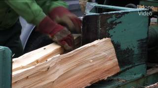 Holz Spalter - Wood Log Splitter