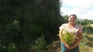 Клиентская база. Подписная страница. Что такое лид-магнит?