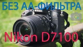 Nikon D7100 - Обзор Фотоаппарата: Топовая Кропнутая Зеркалка - Kaddr.com