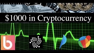 Invest $1000 Dollars in Cryptocurrency - Here is My Picks
