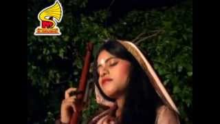 Meera Diwani Ho Gayi,baba rasika pagal bhajan,