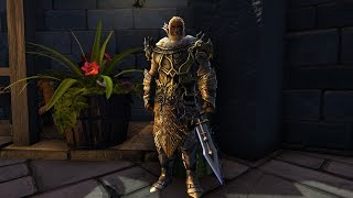 Квест на портал Фэйри | Neverwinter Online Мод.11