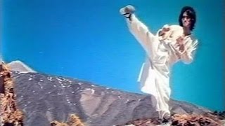 Невероятная миссия кунг-фу  (Джон Лиу кунг-фу 1979 год)