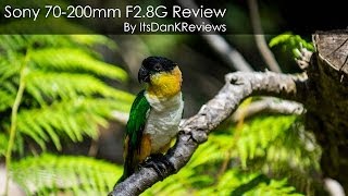 Sony 70-200mm F2.8G SSM II Review on the Sony A7