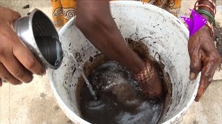 இயற்கை வேளாண்மையில் பஞ்சகாவ்யா தயாரிப்பு - Panchakavya Preparation Method