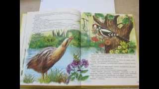 В. Бианки. Кто чем поет?