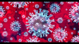 Doctor File analiza el posible origen de la epidemia por coronavirus