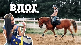 ПЕРВЫЙ ДЕНЬ ГАЛОПА | Конная распаковка | За кадром кики челеджа