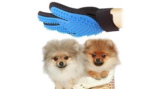 Magic Pet Brush Glove, Grooming