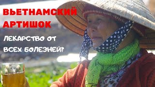 Артишок из Вьетнама: инструкция по применению / вытяжка из артишока / артишок полезные свойства