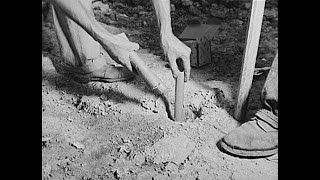 The History of Dynamite documentary