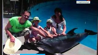 Дело "банды амазонок" слушается в суде