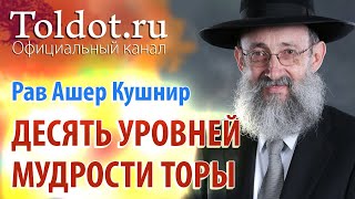 Рав Ашер Кушнир. Десять уровней овладевания мудростью Торы. Обязанности сердец 44
