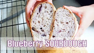 손반죽 사워도우 : 써는소리 먹는소리? blueberry sourdough ASMR