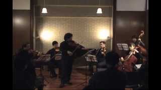 Haydn - Divertimento for Viola d'amore, Violin and Cello