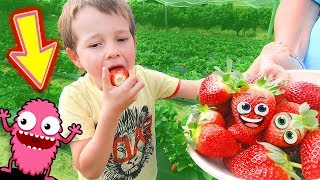 STRAWBERRY PICKING Treasure Hunt for Kids - Family Friendly Fruit Picking Farm