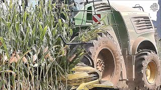 New JD 9800i + Kemper 460 Plus with StalkBuster - Tecnoagricola Ciceri - Corn silage 2019
