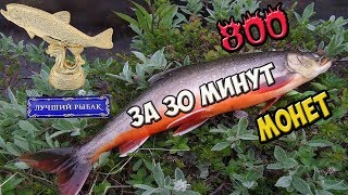 Русская рыбалка 4: 800 монет за 30 минут!!!