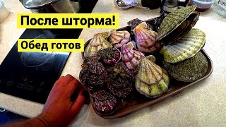 Прогулка после шторма ???? Немного, но на обед хватило