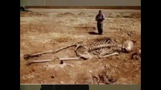 Салль Сергей Альбертович   Настоящая история человечества